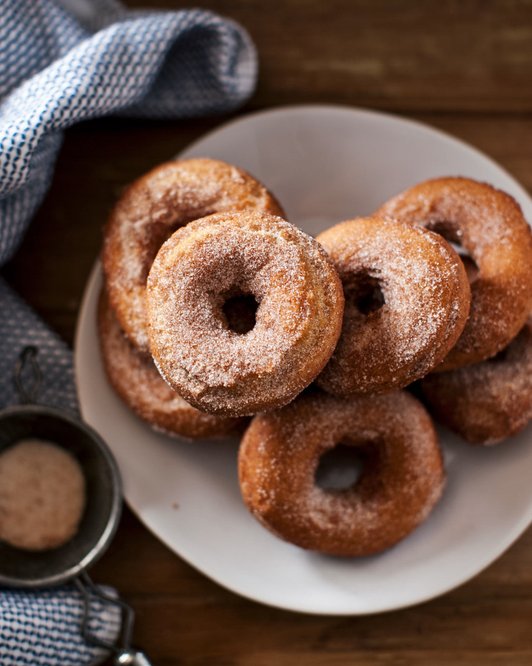 Pumpkin Spice: Wintersweet Vol. 1 (digital zine)